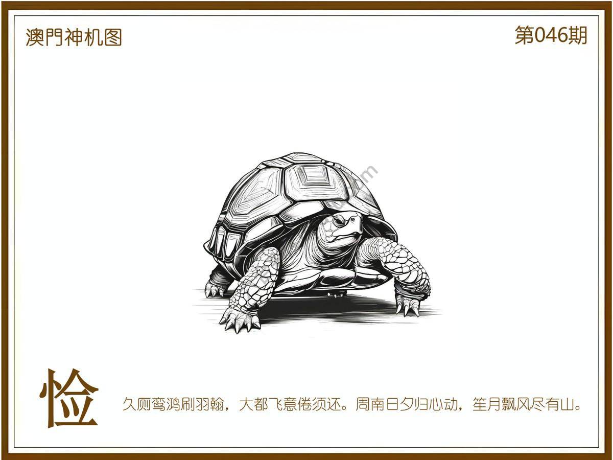 澳门神机图