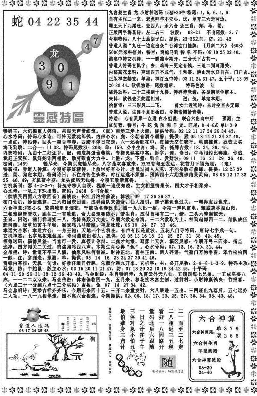 新香港彩霸王