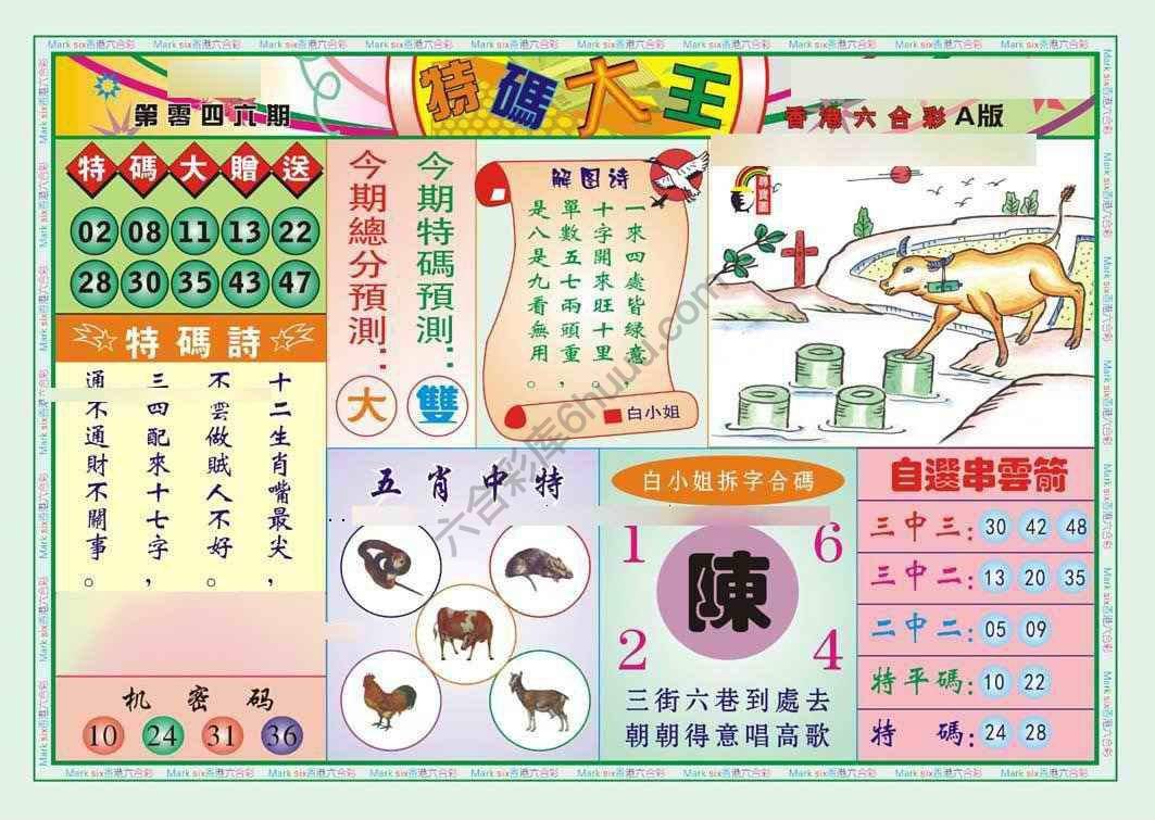 特码大王