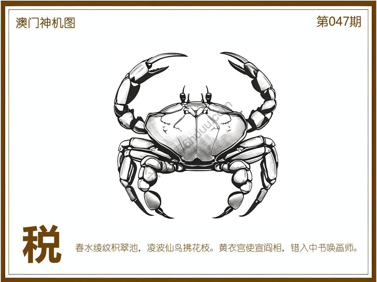 澳门神机图