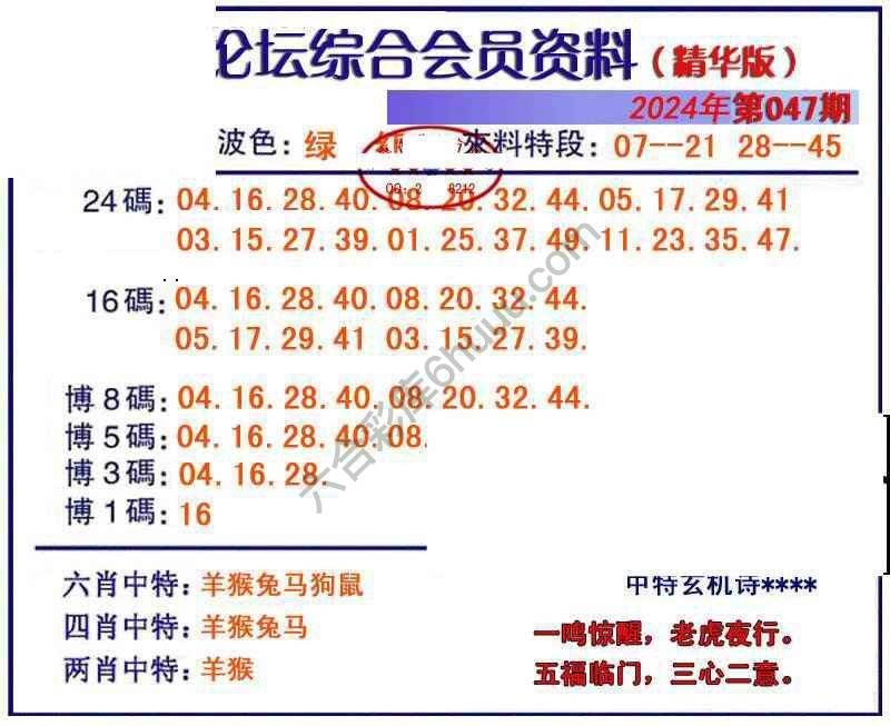 综合会员资料