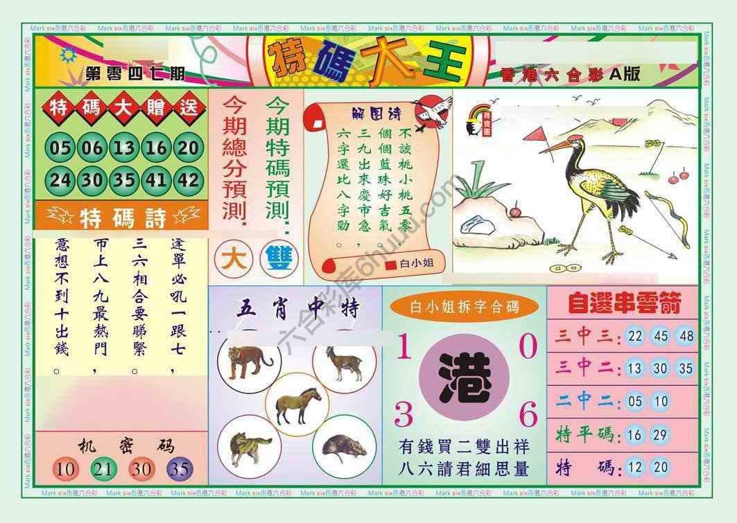 特码大王