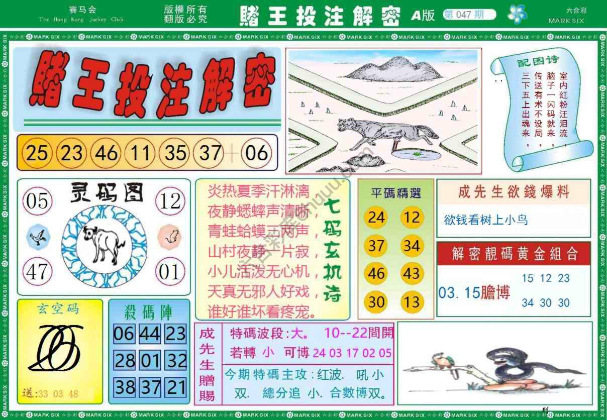 赌王投注解密