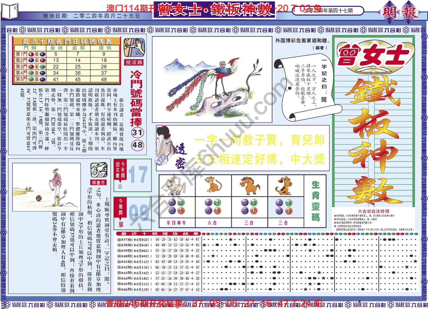 曾女士铁板神数