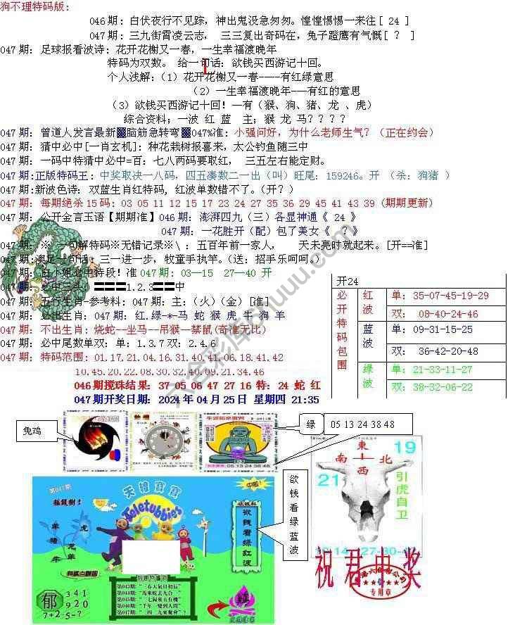 青龙五鬼报