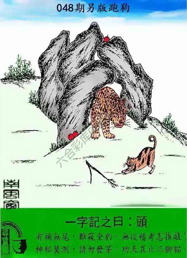 另版跑狗
