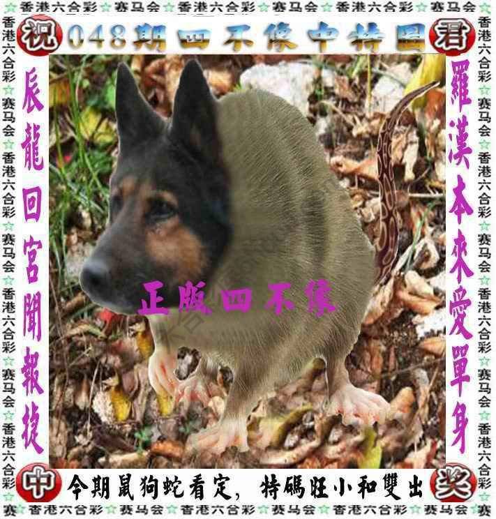 四不像中特图