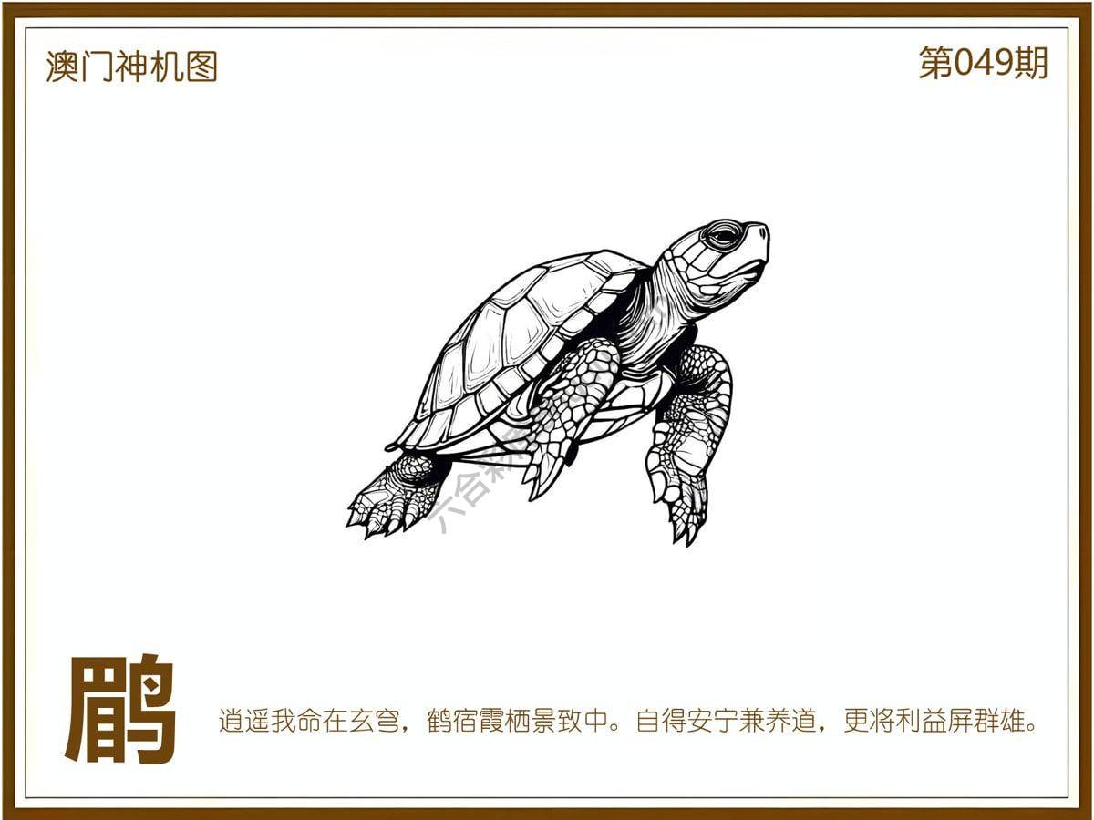 澳门神机图