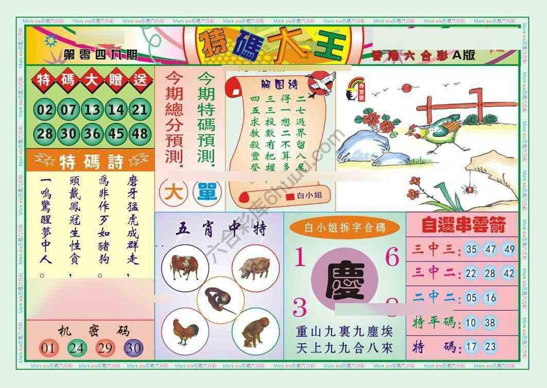 特码大王