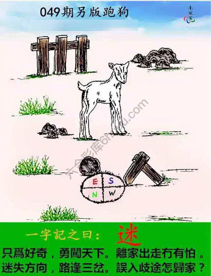 另版跑狗