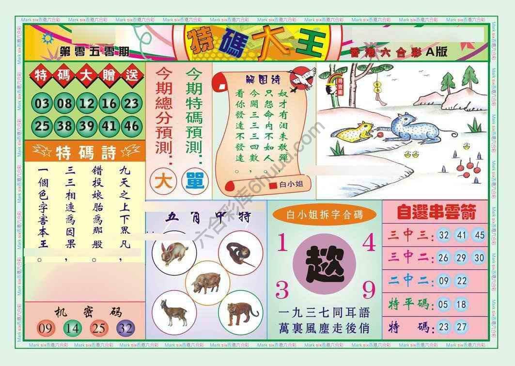 特码大王