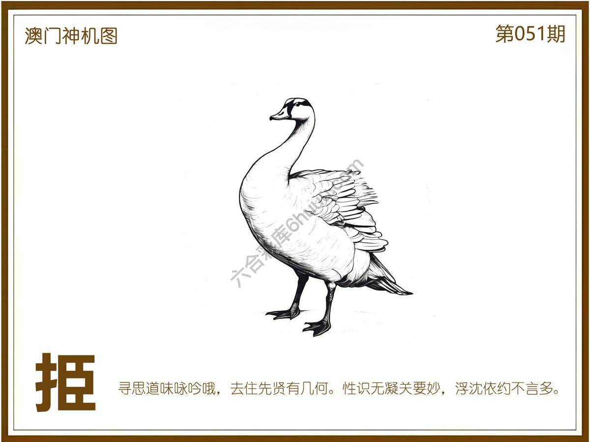 澳门神机图
