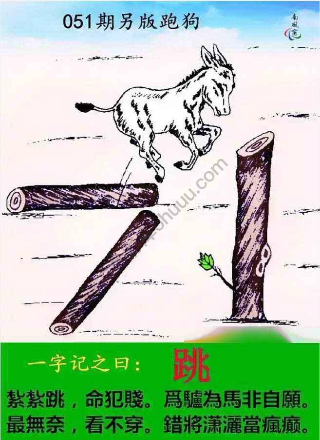 另版跑狗