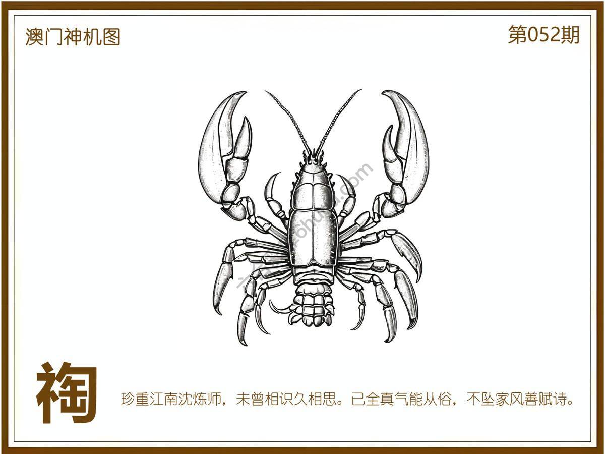 澳门神机图