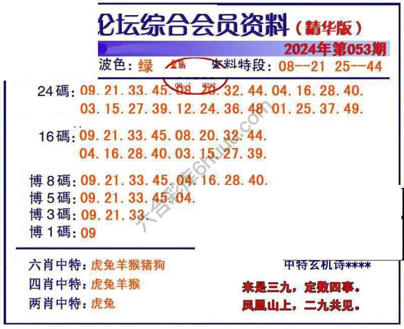 综合会员资料