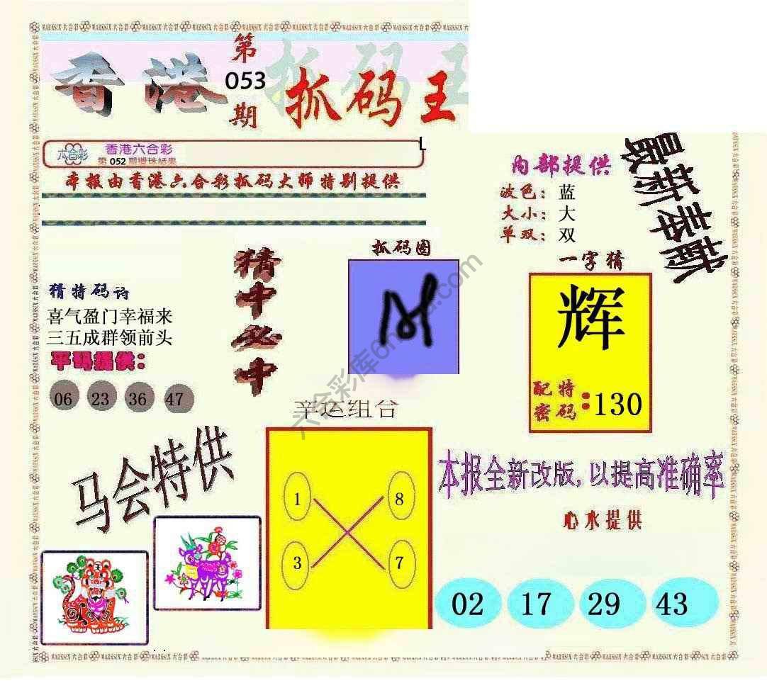 新抓码王