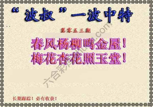 波叔一波中特