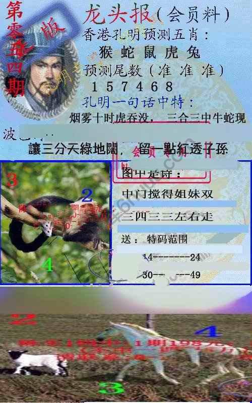 龙头报