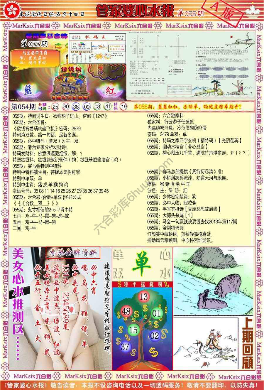 管家婆心水报