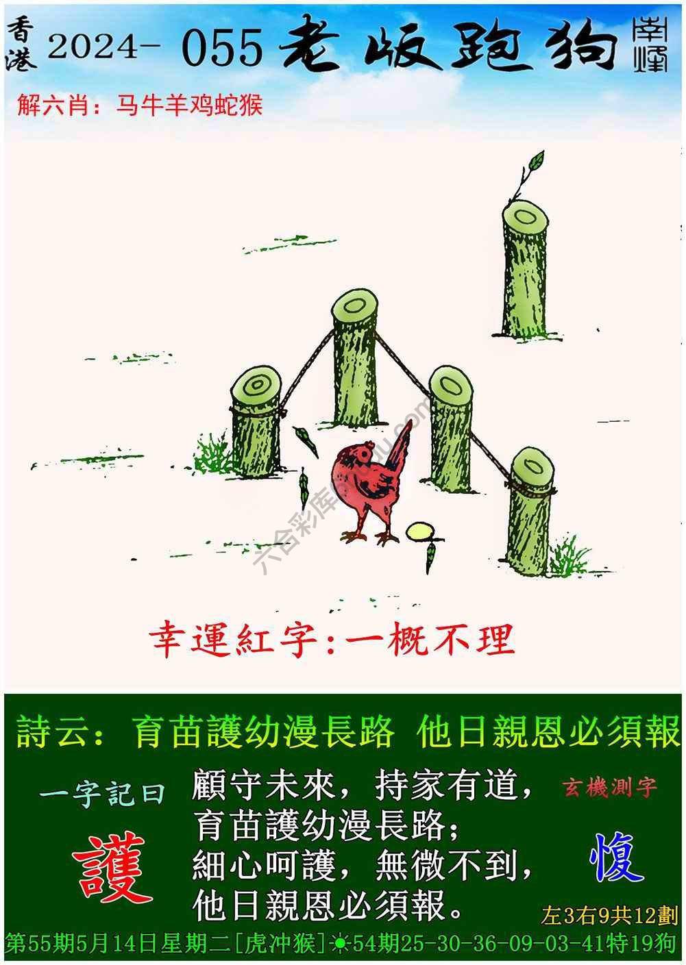老版跑狗图