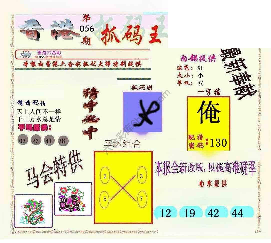 新抓码王