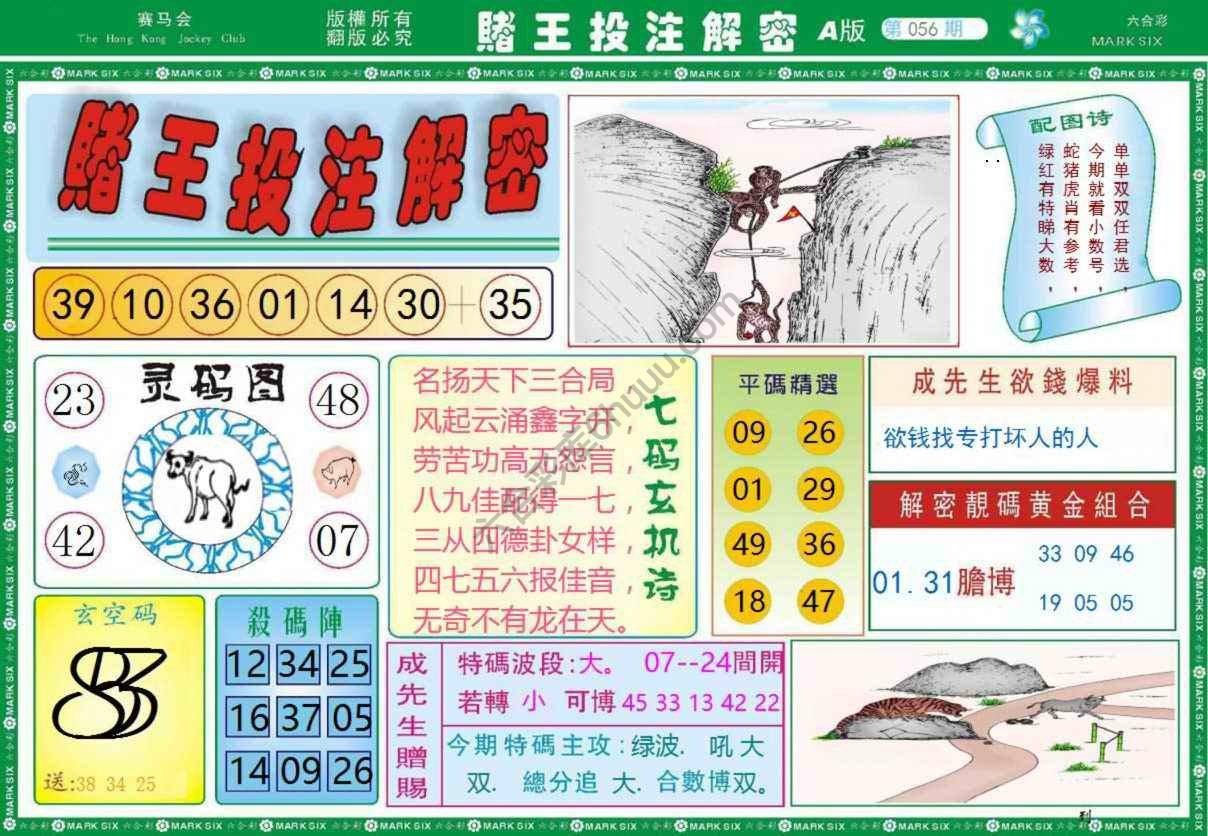 赌王投注解密