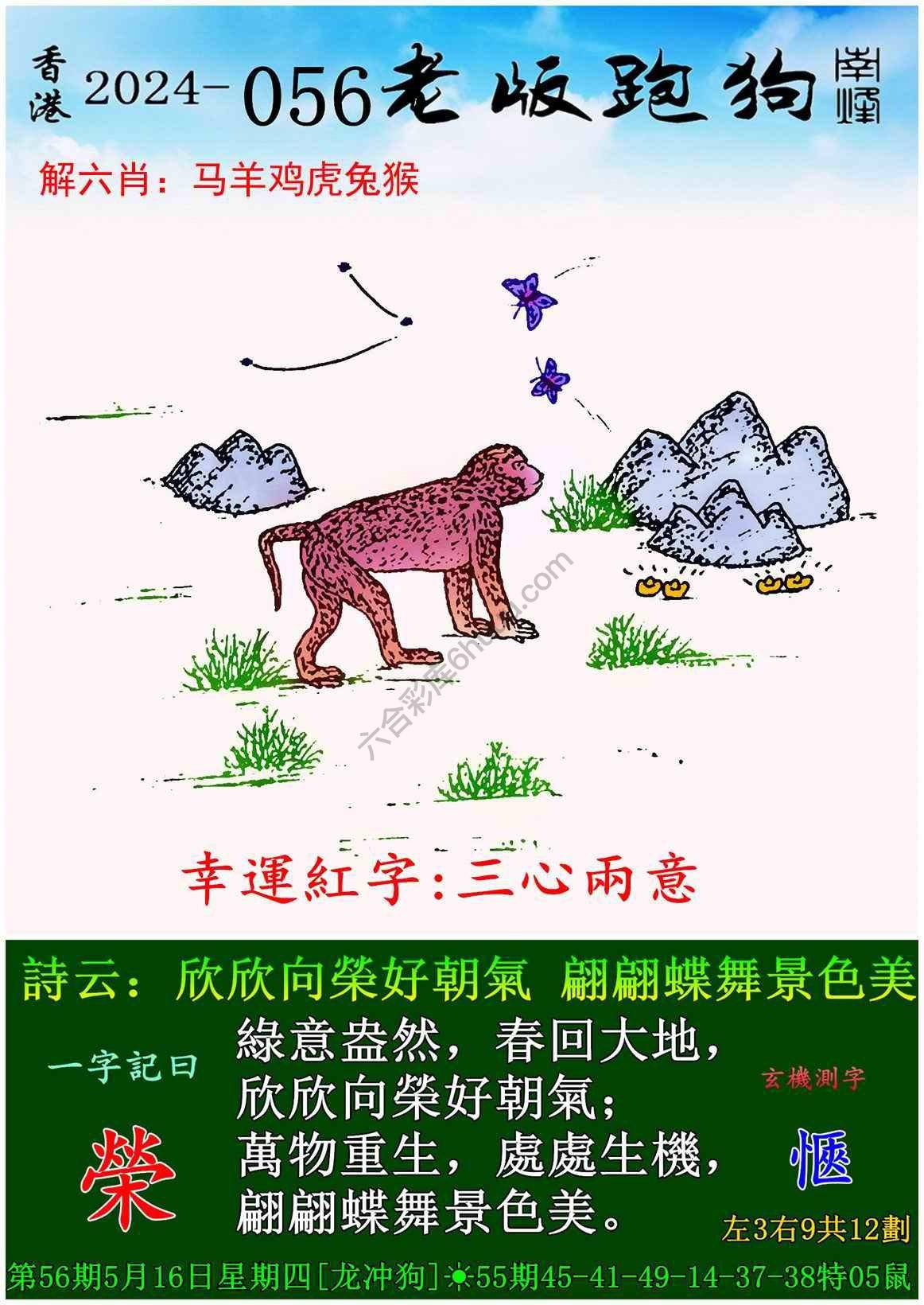 老版跑狗图