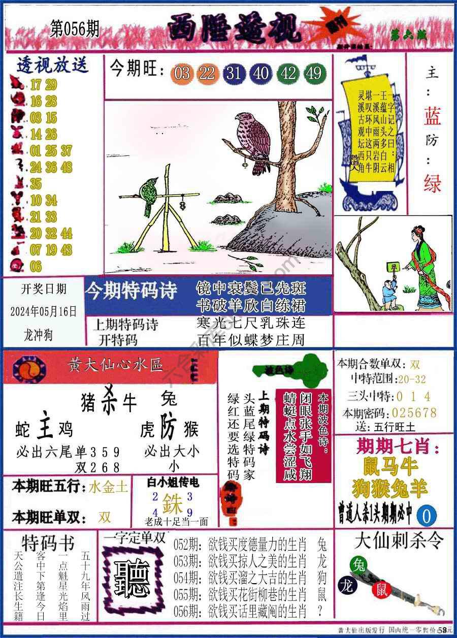西陲透视（正版）