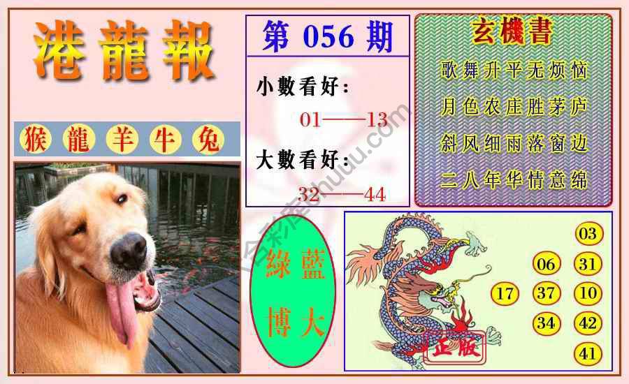 港龙报