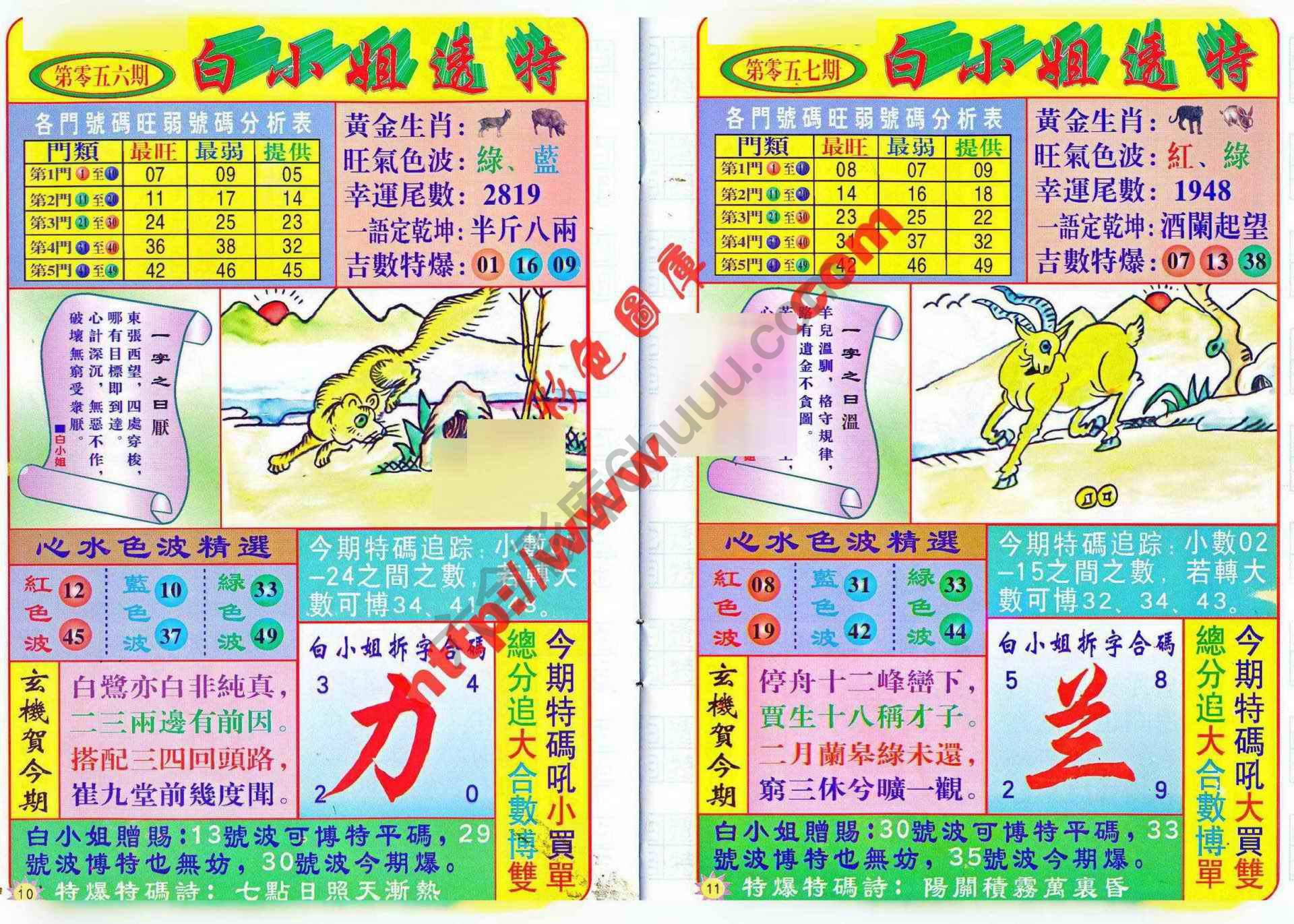 白小姐透特