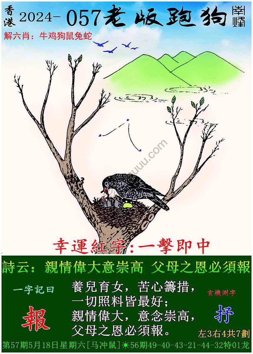 老版跑狗图