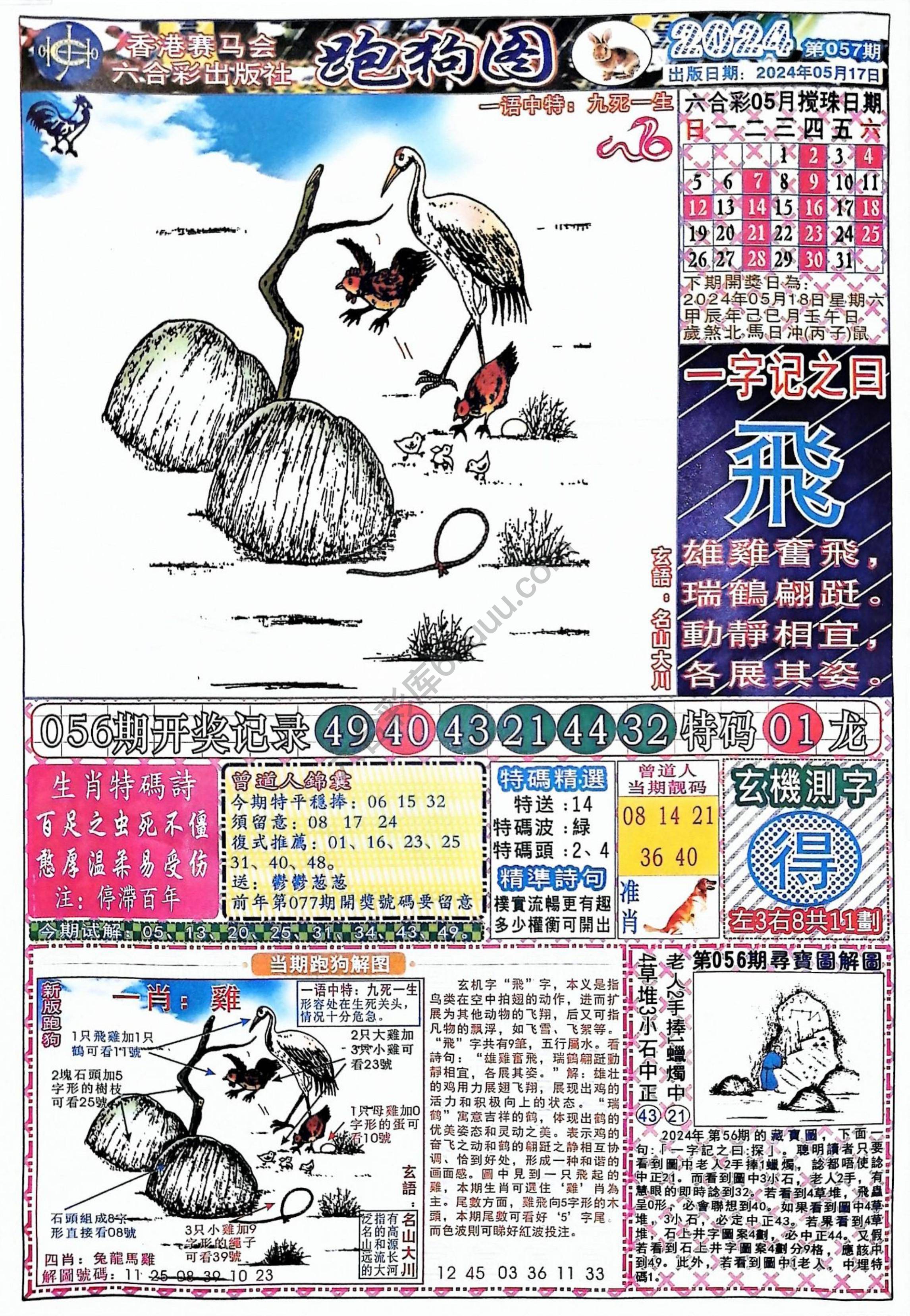 赛马会跑狗图