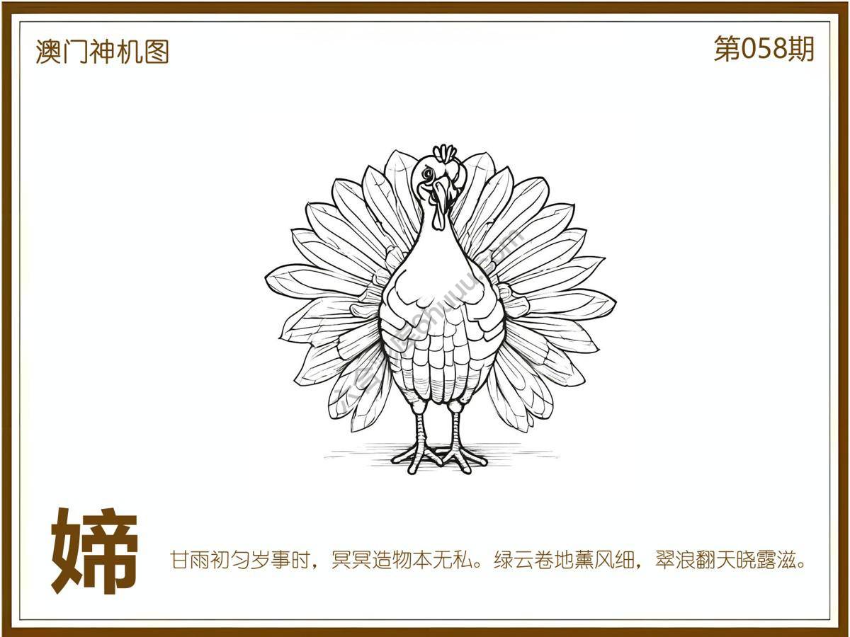 澳门神机图