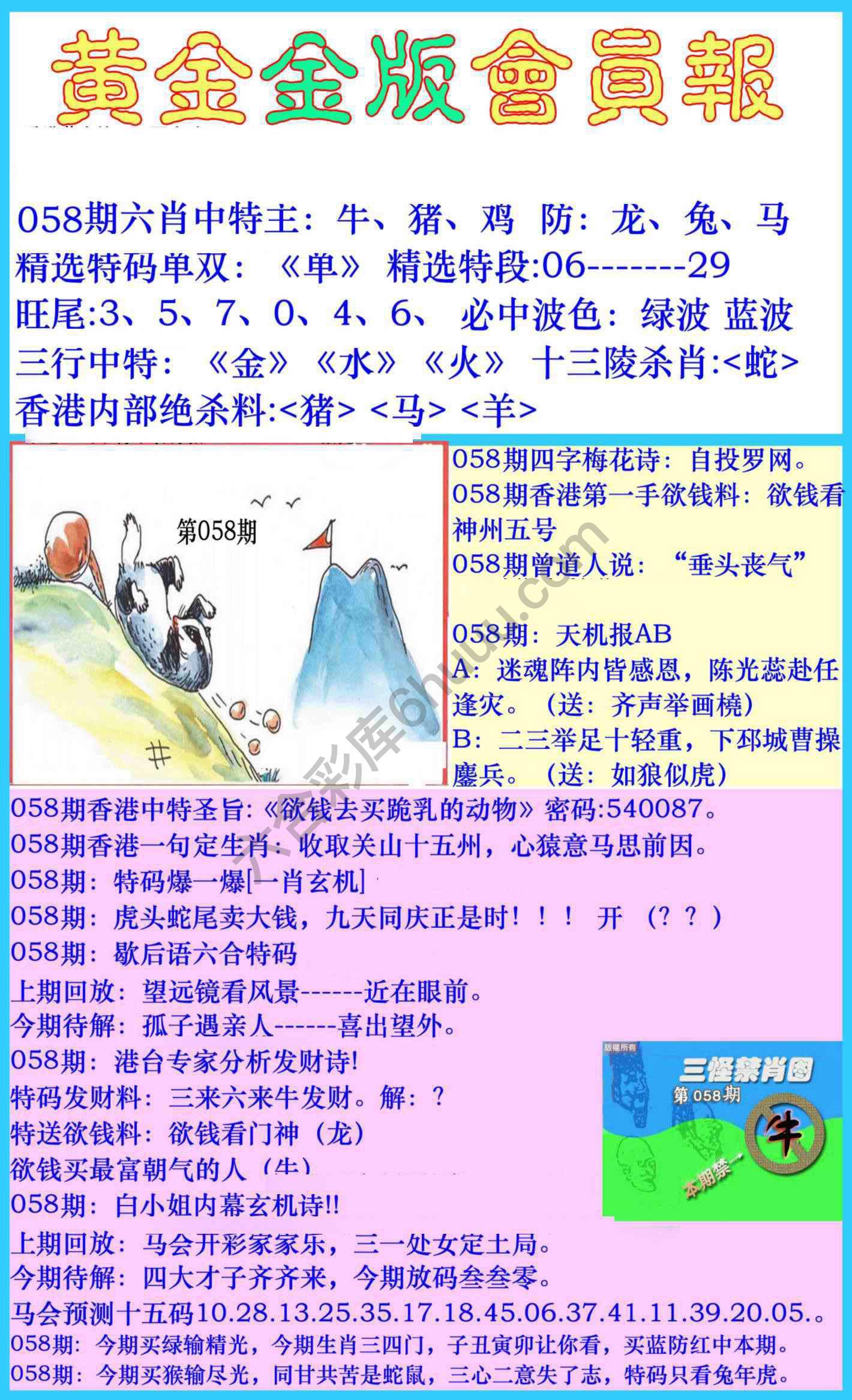 黄金金版会员报