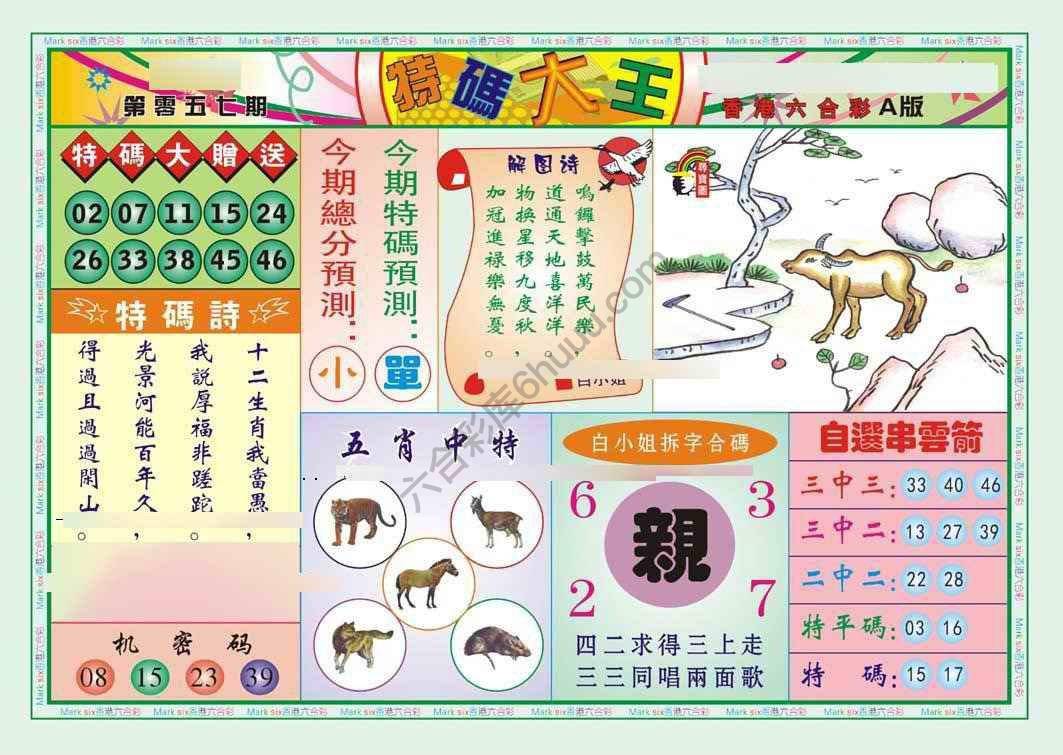 特码大王