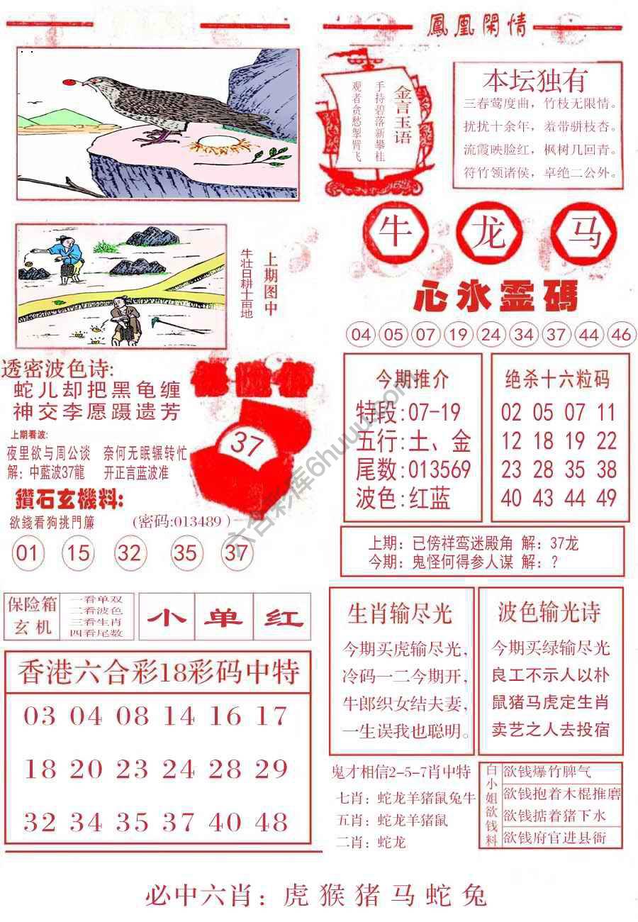 凤凰闲情