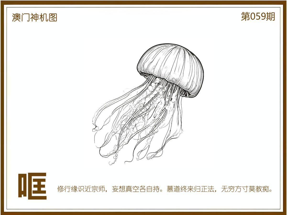 澳门神机图