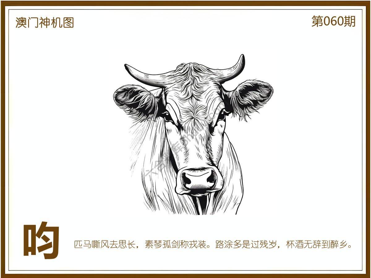 澳门神机图