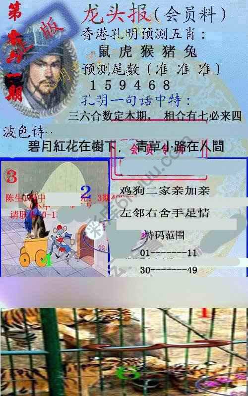 龙头报