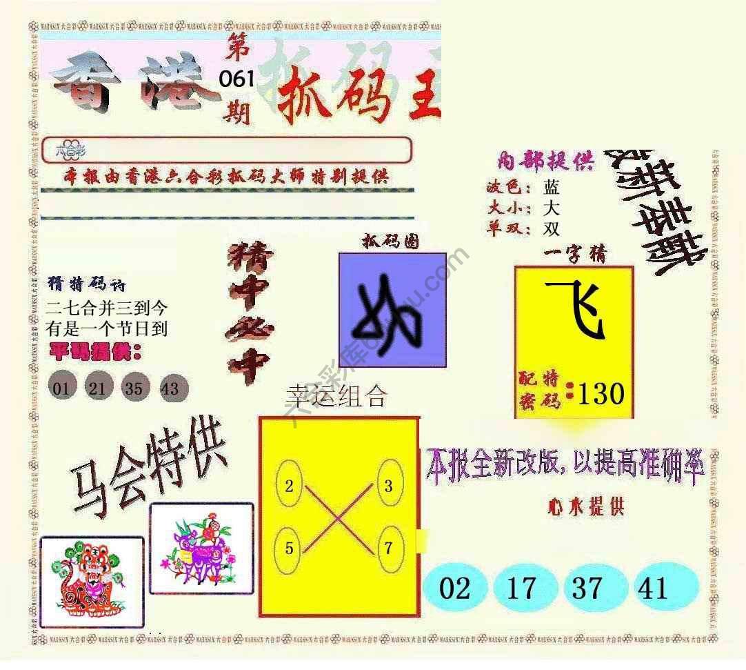 新抓码王