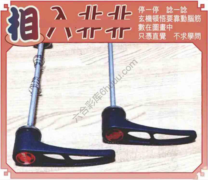 相入非非