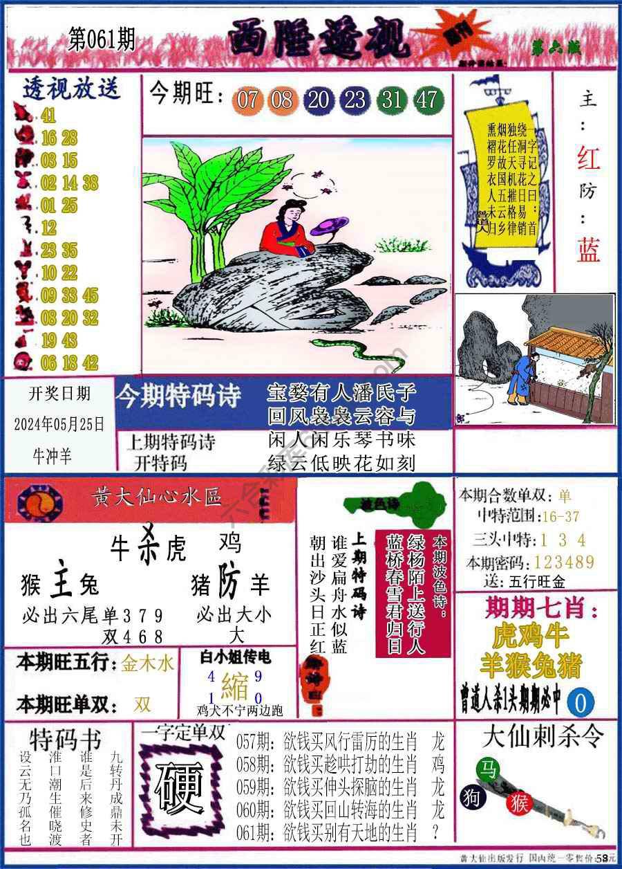 西陲透视（正版）