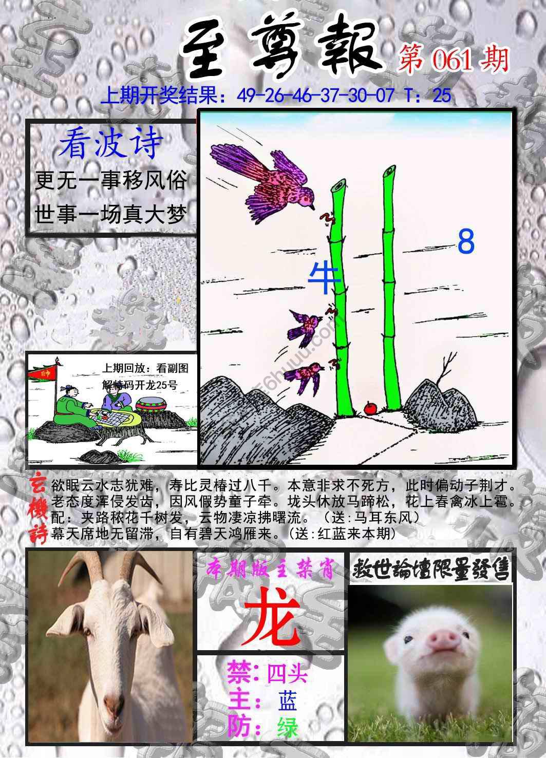 至尊报