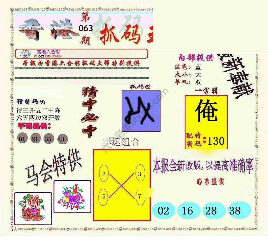 新抓码王