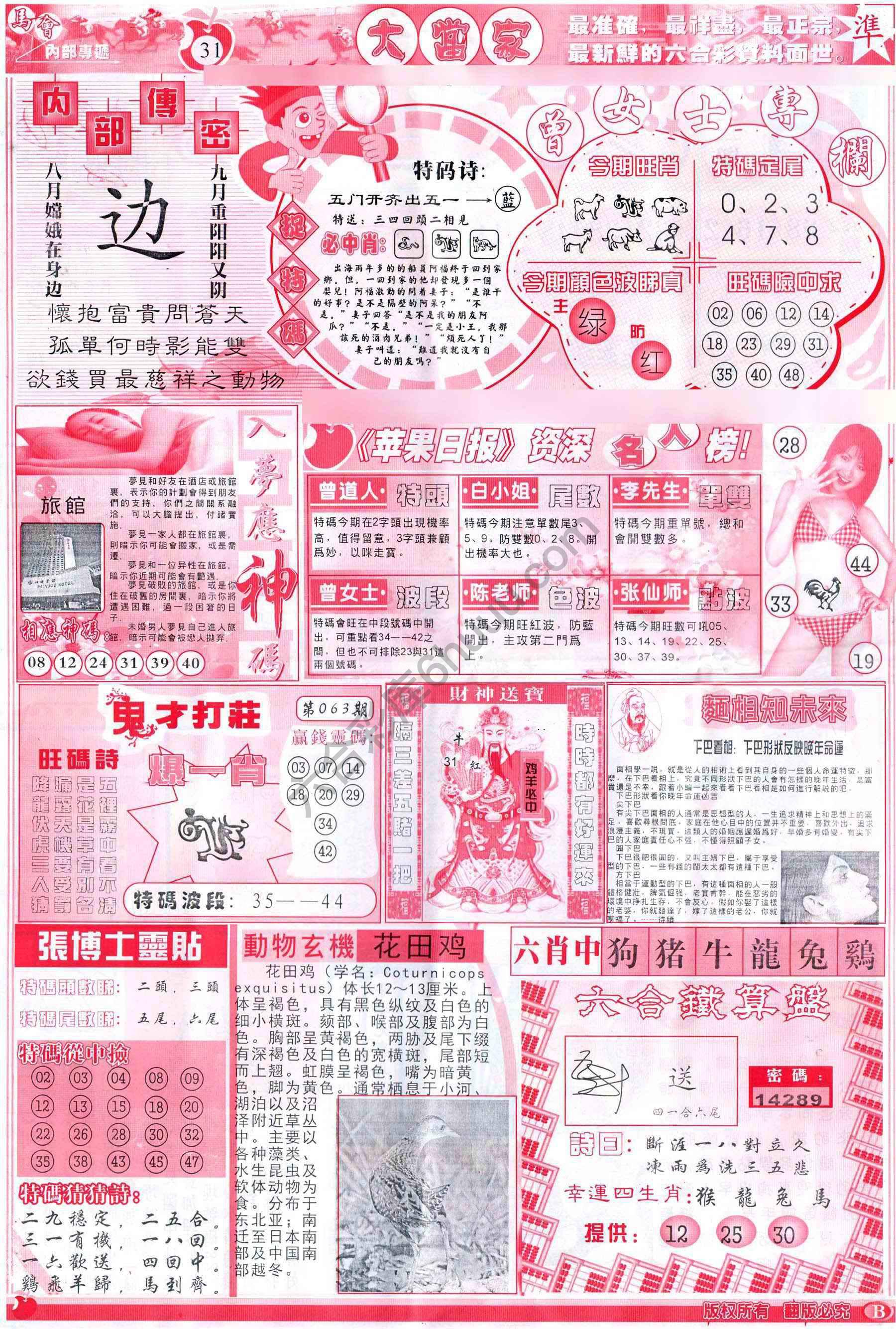 大当家