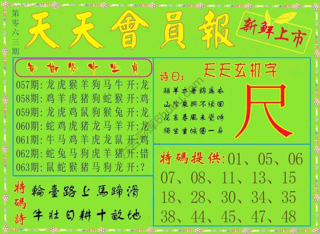 天天会员报