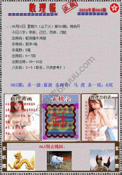 数理报
