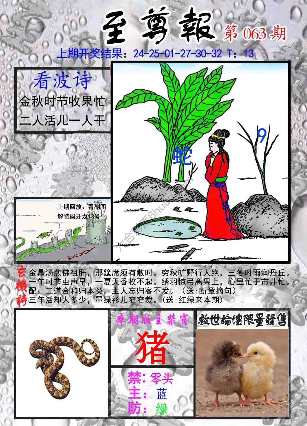 至尊报