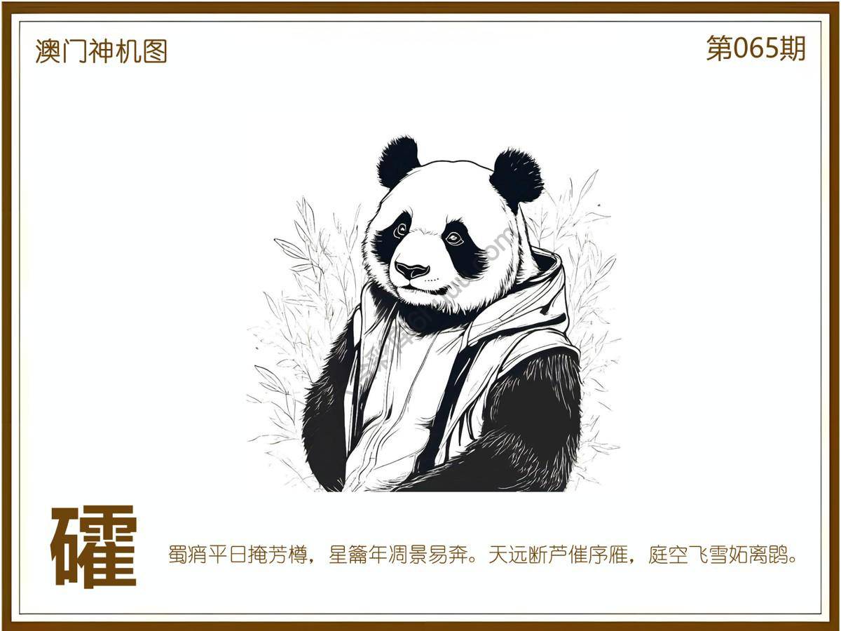 澳门神机图