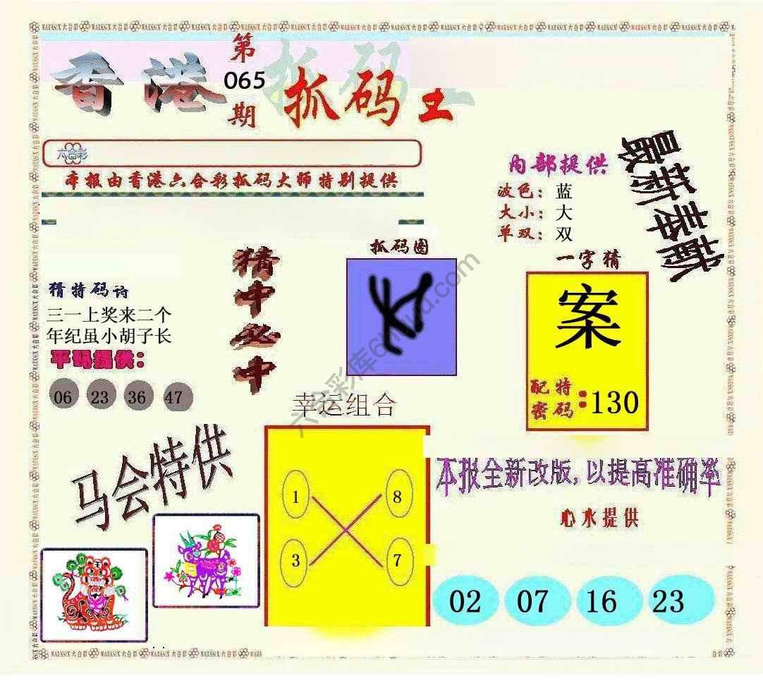 新抓码王
